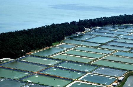 水产养殖蟹池、虾池、海参圈、鱼塘等价格评估