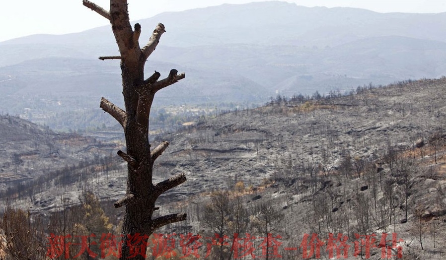 黑龙江森林园林景区损失评估-无形资产价值评估