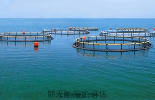 黑龙江江河水库渔业评估-资产损失、价格评估