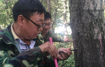 黑龙江森林资源灾害损失面积程度核查评估