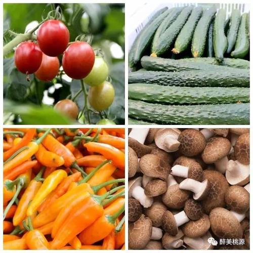 黑龙江农作物农产品农资核查价格评估